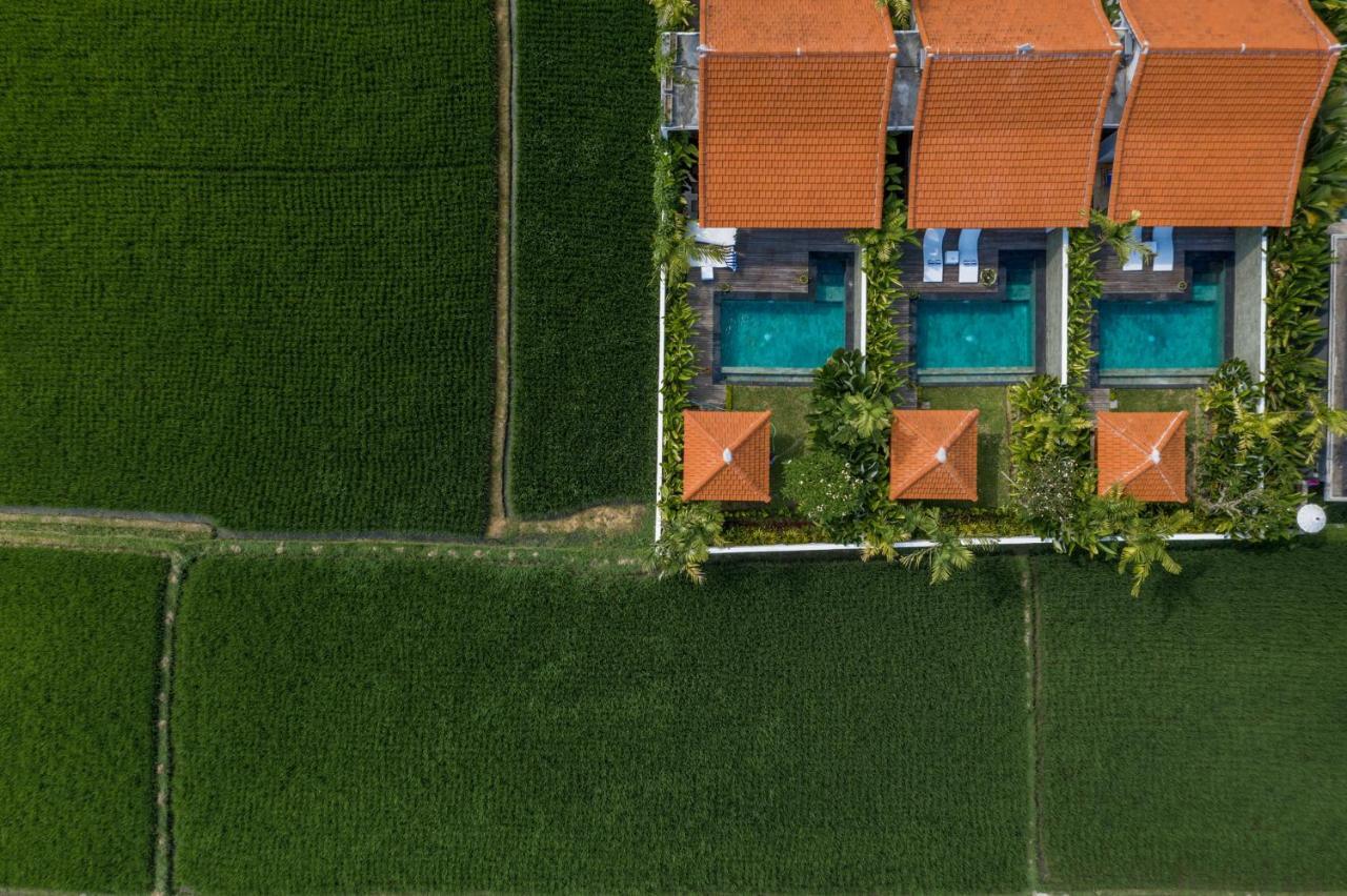 Sawah Villas Ubud  Luaran gambar